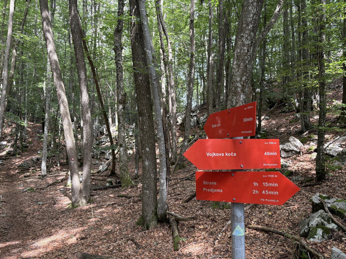 This is the second sign to peel off towards Suhi Vrh, Dry Top, on the way to the Nanos masts, called Vojkova koca here..