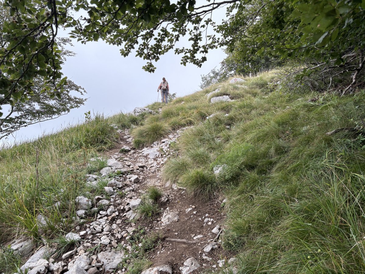 At the end of the long stone path up, you do pop out onto the side of Nanos for a little bit, with great views and NOT SCARY..