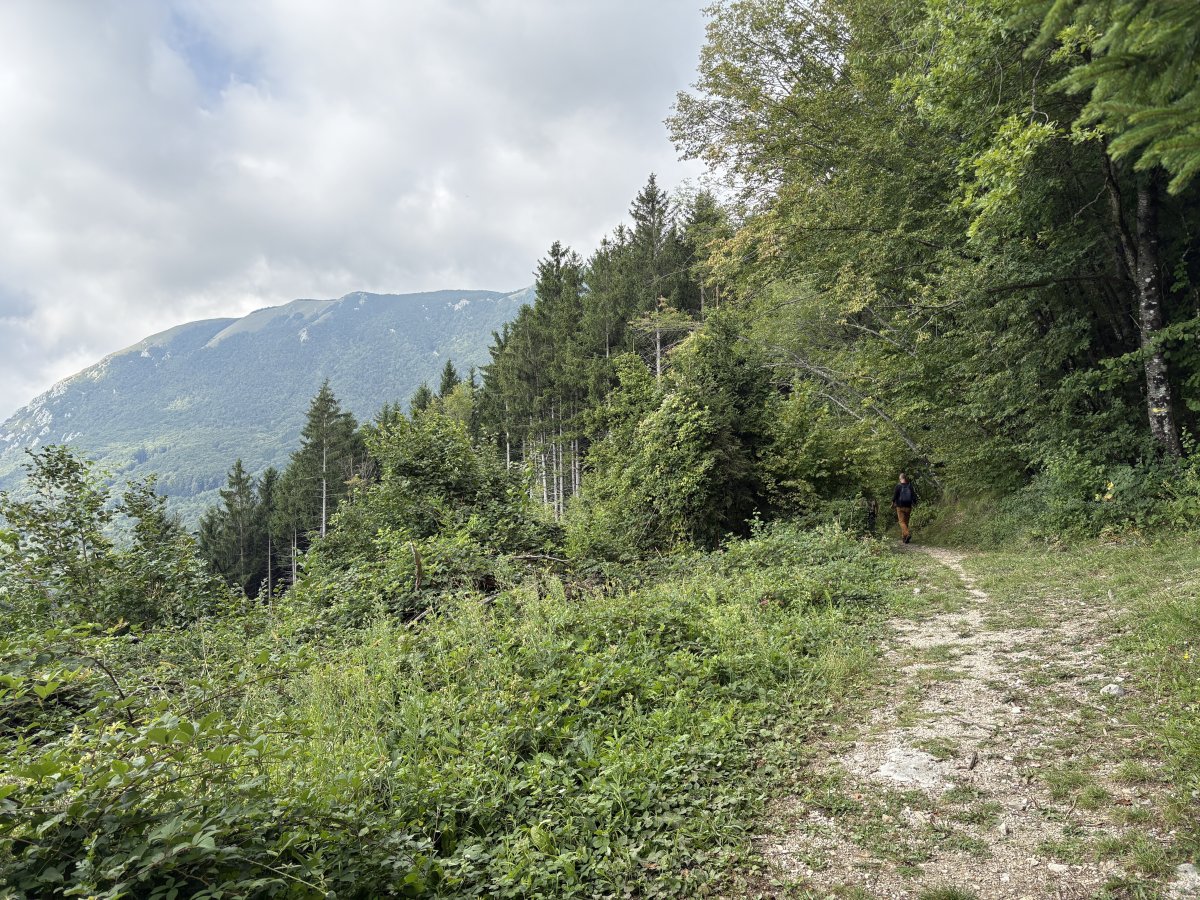 Fantastic view at the start of the walk.. It is quite simple, we are gonna go up there to the top on the left..