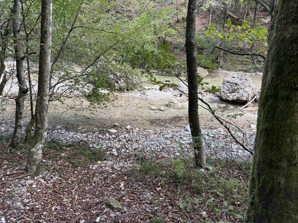 Plenty of places to pop down to the river..