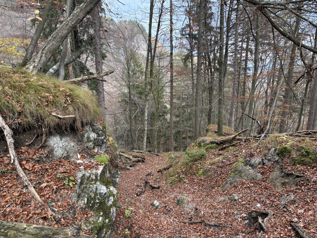 A really fun hike up the side of the mountain..