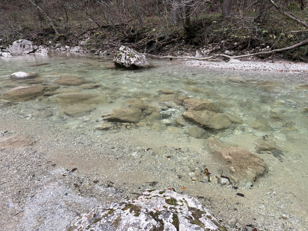 Green Slovenia has so many rivers as crystal clear as this..