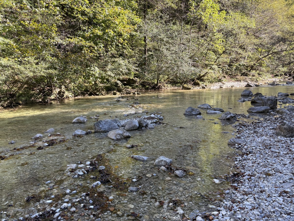 You should be able to find your own secret spot along the Iska river..
