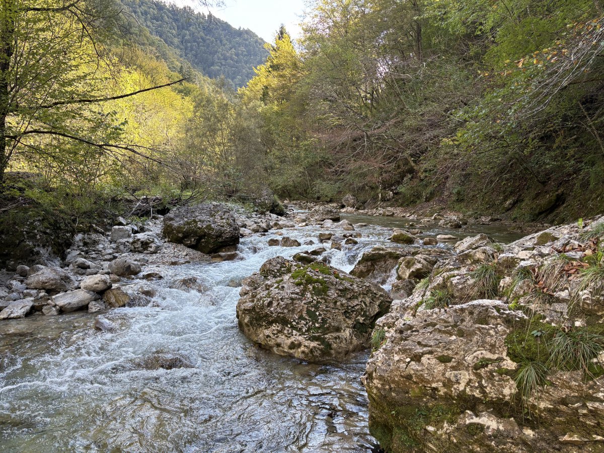 Are you a rock in the river or a pebble on the beach?