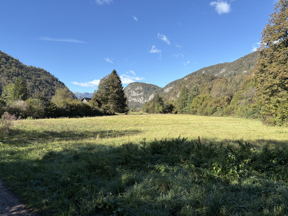 There are so many stunning mini valleys to explore between Bled and Bohinj if you stop and have an explore..