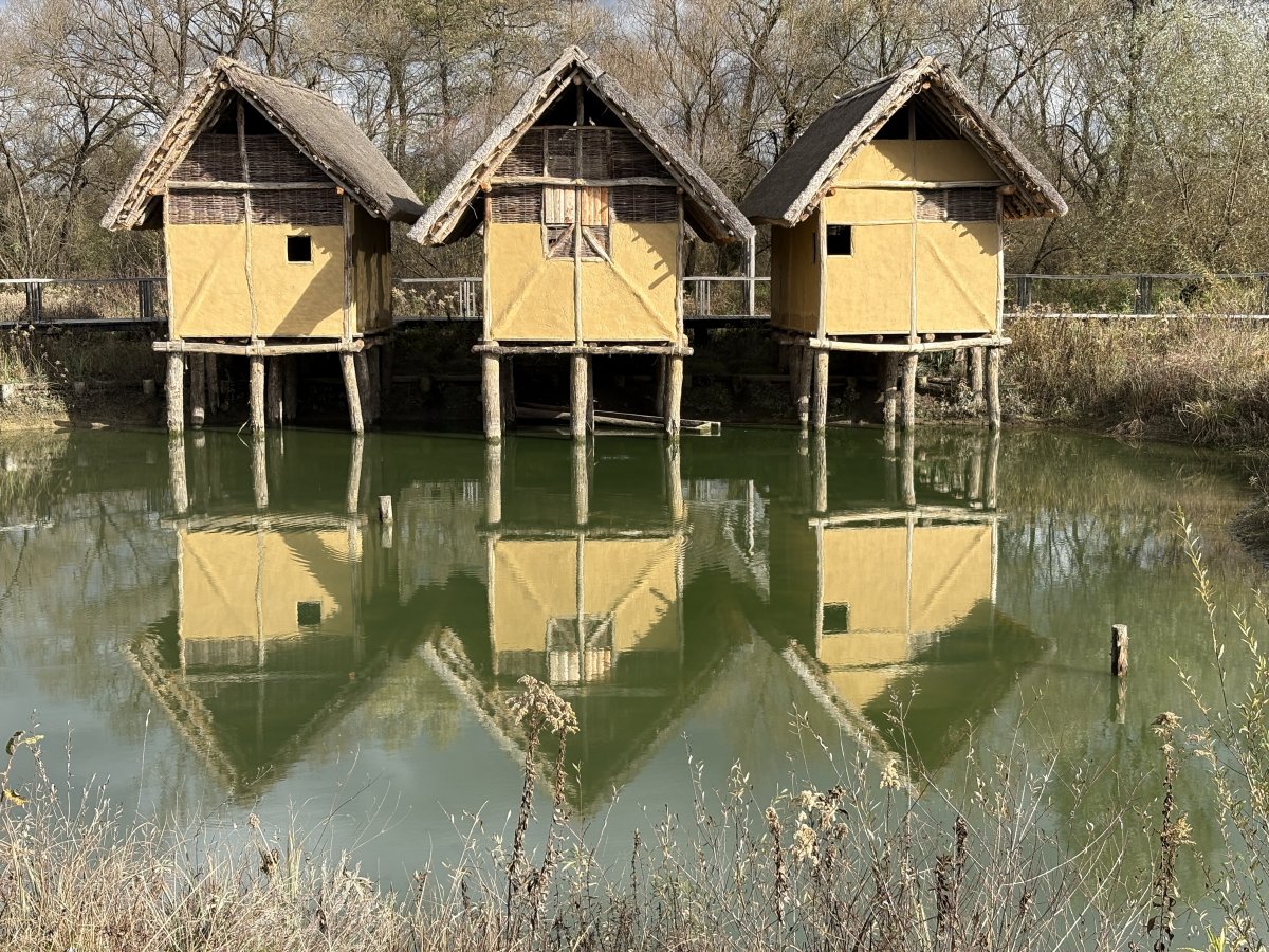 Ljubblyjana Marsh Houses