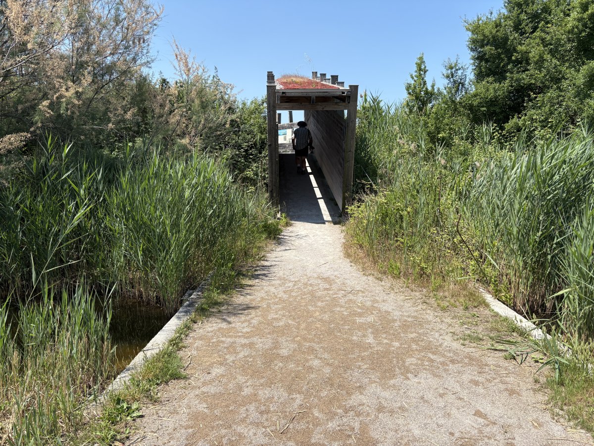 Fab wooden walkway out to a HIDE with wide sea marsh views..