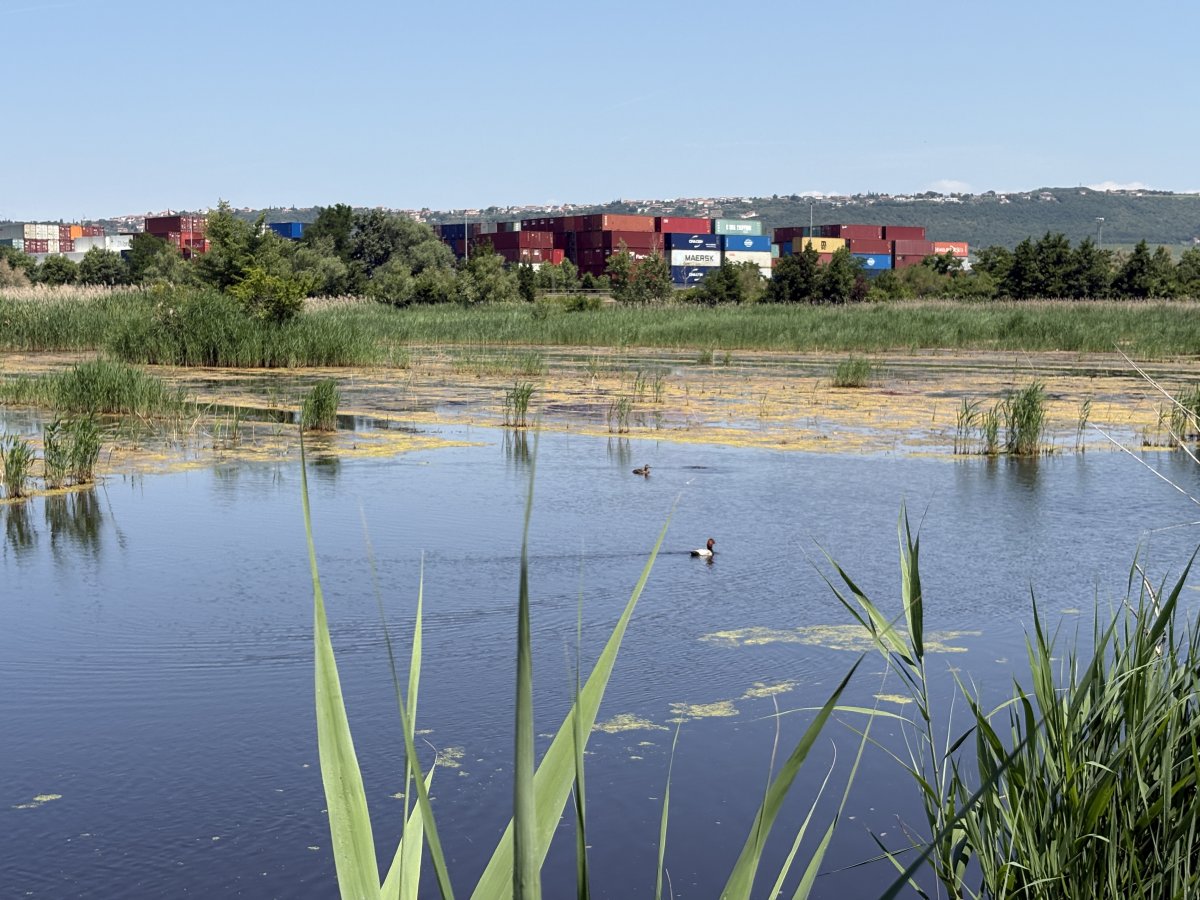 It is difficult to put into words the gratitude we should have for the campaigners who saved this space for the rest of the world..