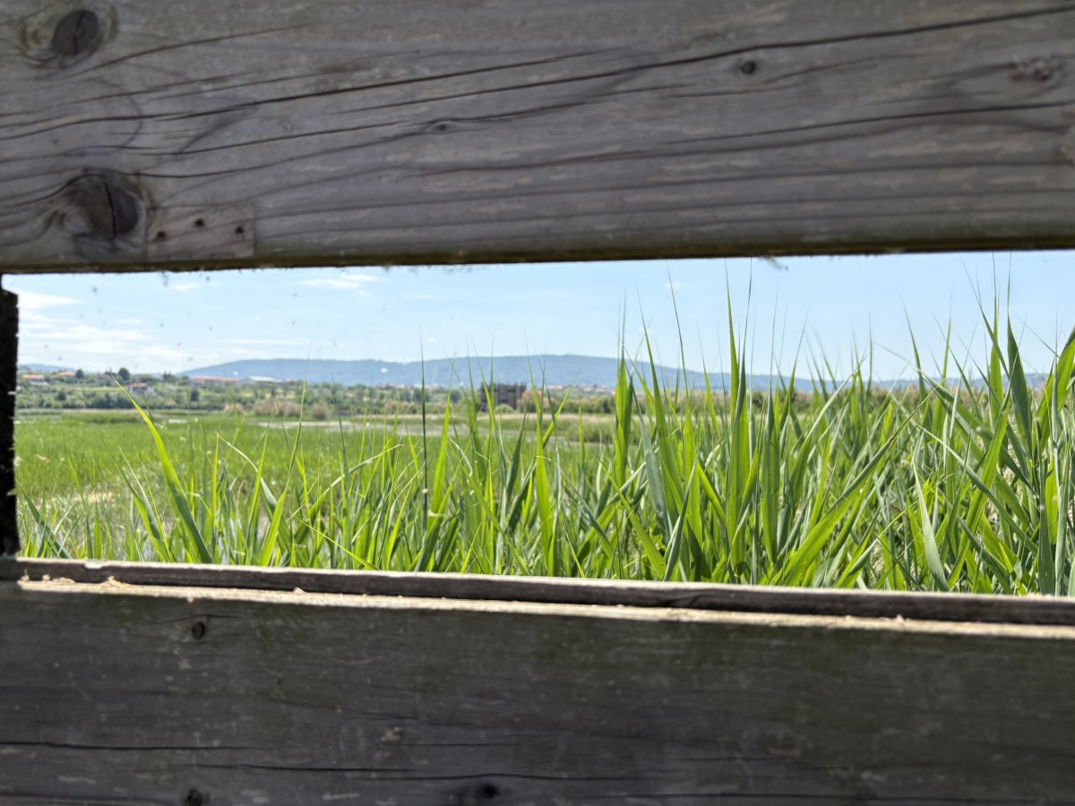 The HIDES are really fantastic with lots of PEEPHOLES at every level for every view and size of person..