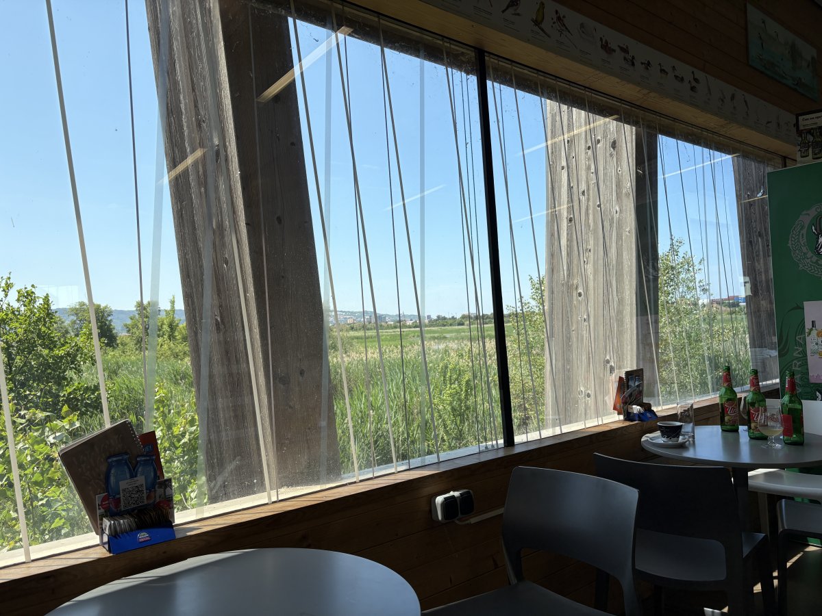 Even the cafe has opportunities to watch what is going on in the nature reserve..