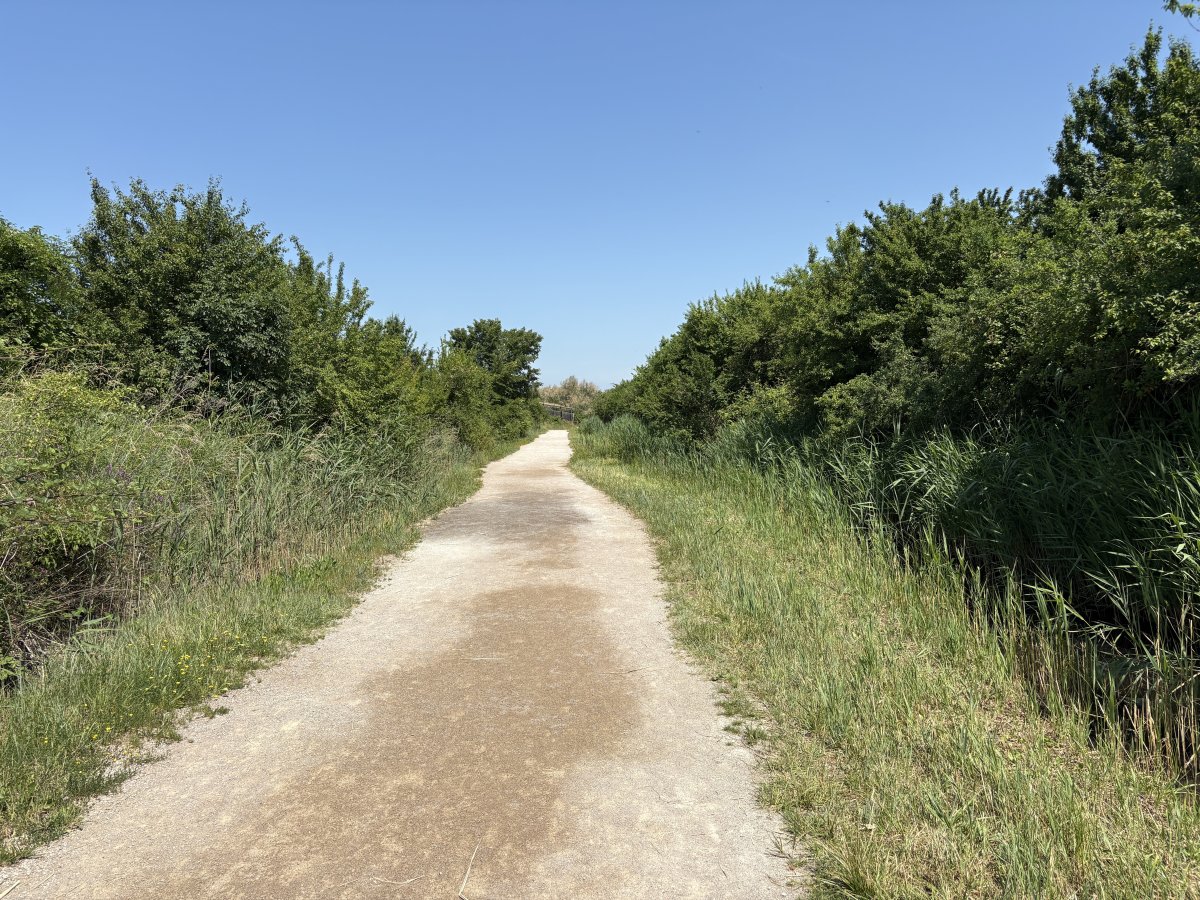 Suddenly the path opens out and realise this is a serious sized reserve and much is still to come..