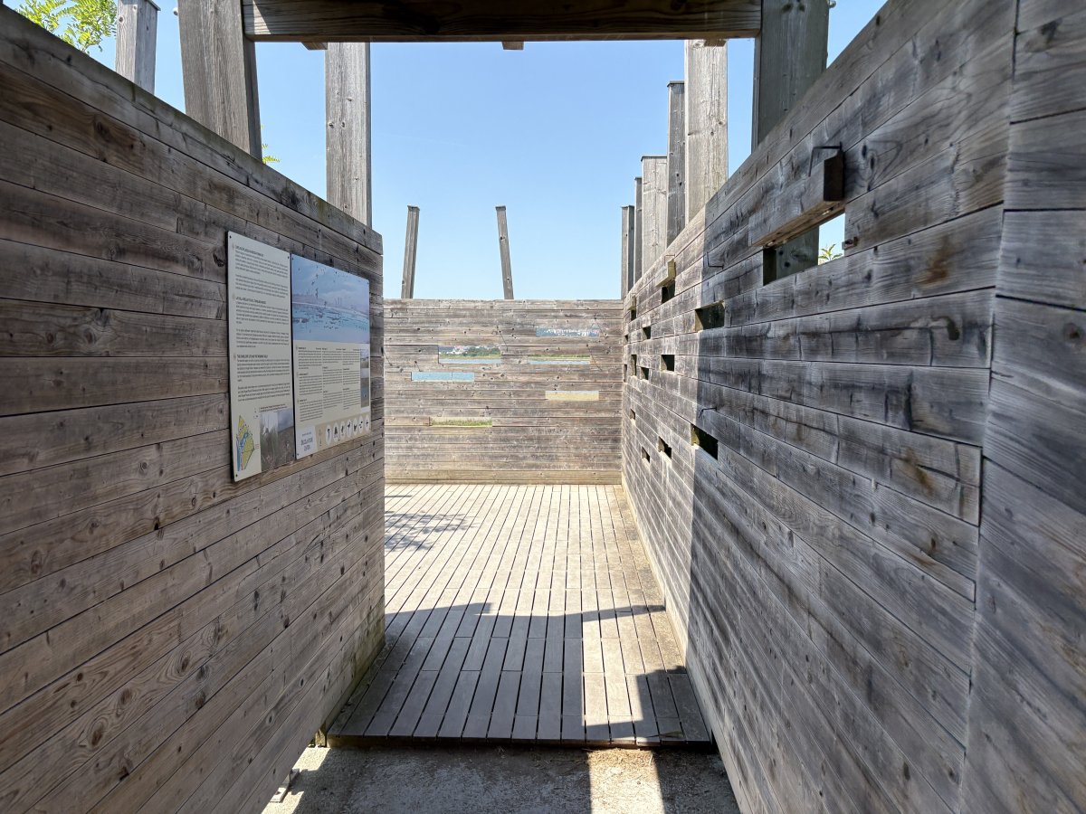 The birds AND the visitors don't quite know yet what is coming..