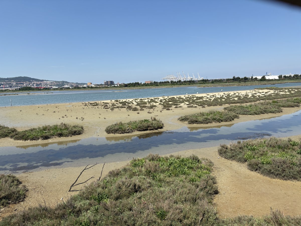 Birds were happily whizzing around as we marvelled at this stunning view, hiding behind the boards..