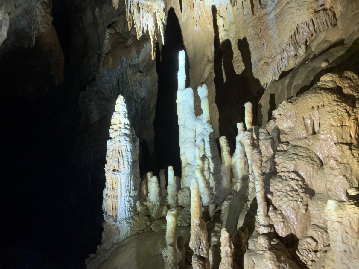 Just a few of the surprises at the end of Planina Cave..