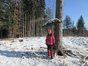 winter walks around lipizzaner lodge